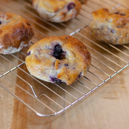 Blueberry Yogurt Bagels